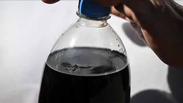 Kola Kutusundan Ölü Arı Çıktı! Dev Şirkete Dava Açıldı