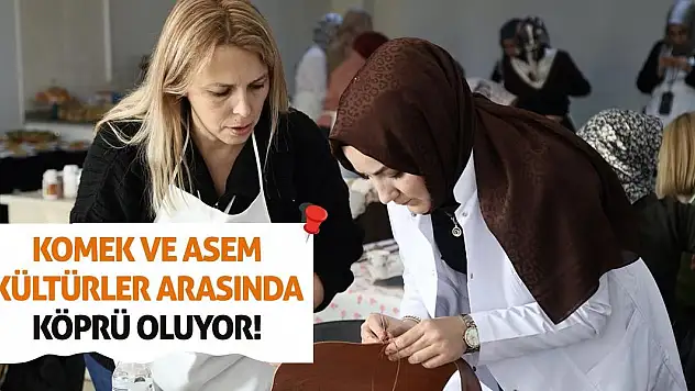 KOMEK ve ASEM kültürler arasında köprü oluyor