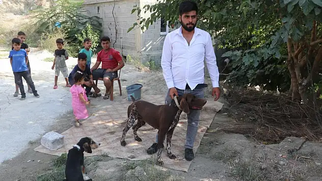 Komşusunun köpeğine sopayla vurdu! 'Tavuklarıma saldırdı'