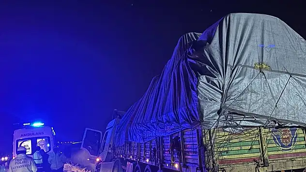 Kontrolden çıkan tır şarampole indi, sürücü öldü
