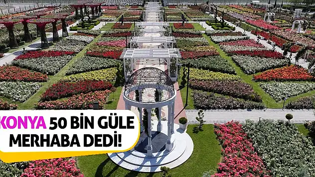 Konya 50 Bin Güle Merhaba Dedi!