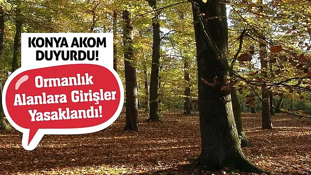 Konya AKOM Duyurdu! Ormanlık Alanlara Girişler Yasaklandı!