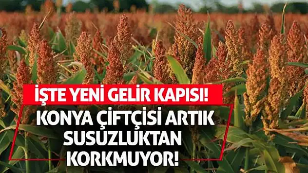Konya Çiftçisi Artık Susuzluktan Korkmuyor! İşte Yeni Gelir Kapısı!
