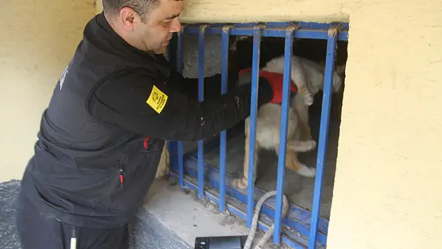 Konya'da aç kalan kedi itfaiye ekiplerince kurtarıldı