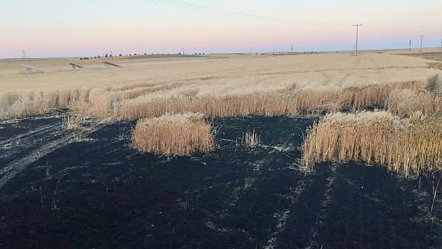 Konya'da arpa ekili tarla alev alev yandı