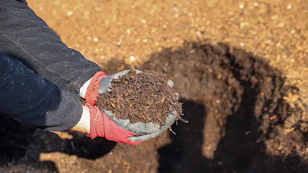 Konya'da çöpten gelen mucize! Selçuklu'nun bu projesi geleceğe nefes olacak