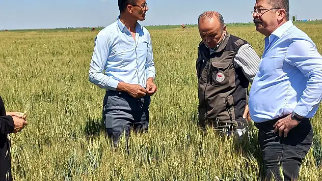 Konya'da dolu felaketi sonrası ekipler sahada! Hasar tek tek inceleniyor