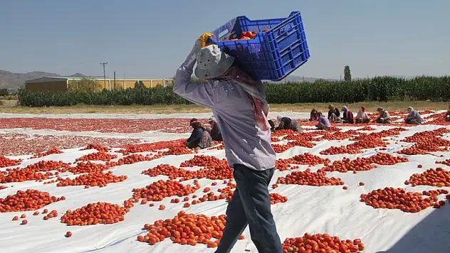 Konya'da eğitim yılında korkunç tablo: 3 çocuk iş başında can verdi!