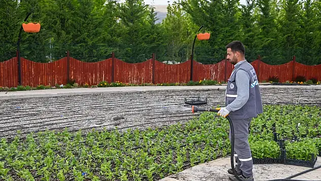 Konya'da iş arayanlar müjde: Selçuklu Belediyesi 50 personel alacak!