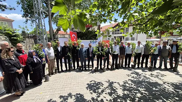 Konya'da kiraz fidanı dağıtıldı