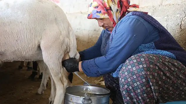 Konya'da kırsalda kadının emeği ekonomiye can veriyor!