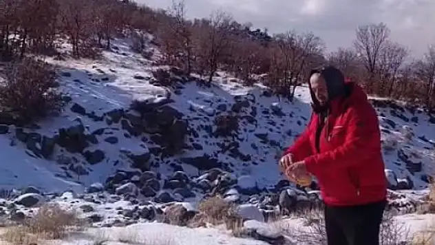 Konya'da kış şartlarında yaban hayvanları unutulmadı