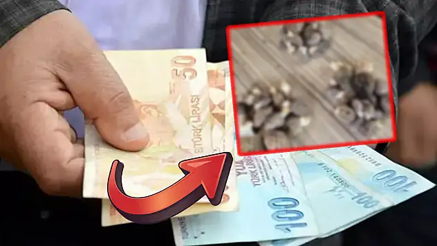 Konya'da köylünün yeni gelir kapısı! Kilosu 1000 liradan kapış kapış gidiyor