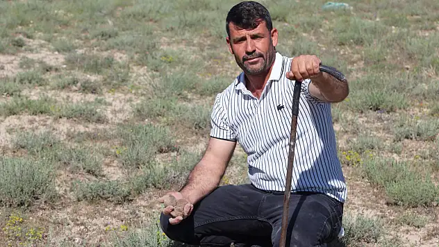 Konya'da mantardan gelen servet! Önce ev ve araba sonra arsa aldı!