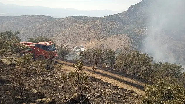 Konya'da ormanlık alanda çıkan yangın söndürüldü