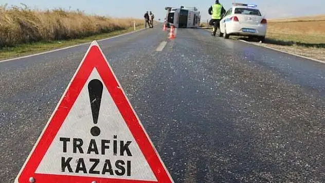 Konya'da otomobilin çarptığı 2 koyun telef oldu