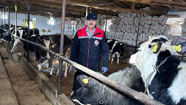 Konya'da şap ve brusella operasyonu: İkinci doz aşılar başladı!