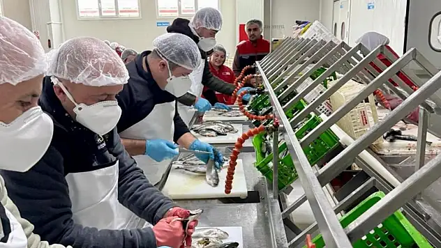 Konya'da  su ürünleri istihdamı güçleniyor