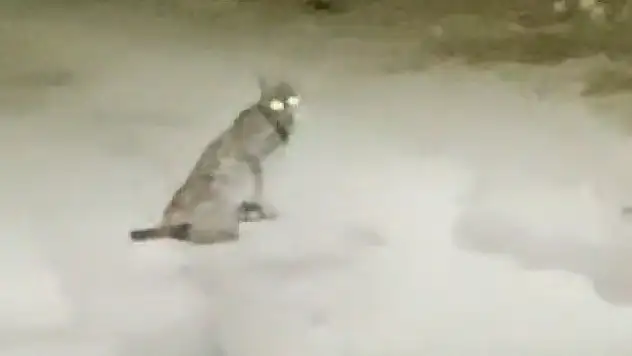 Konya'da teravih çıkışı şoke eden görüntü!