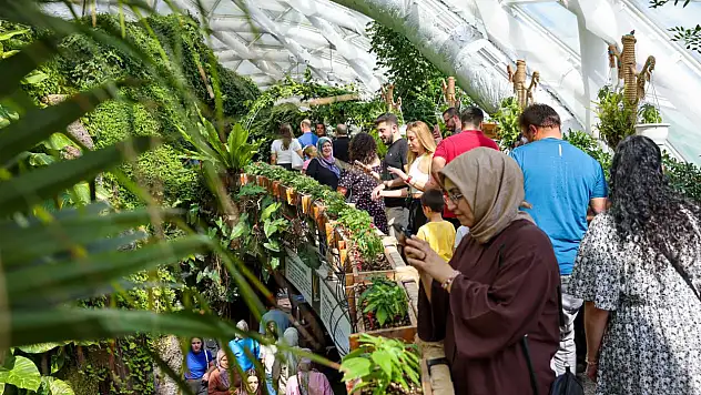 Konya'da tropikal mucize: Kendinizi başka bir ülkede hissedeceksiniz!