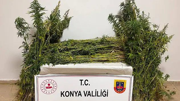 Konya'da uyuşturucuya geçit yok: 7 tutuklama!