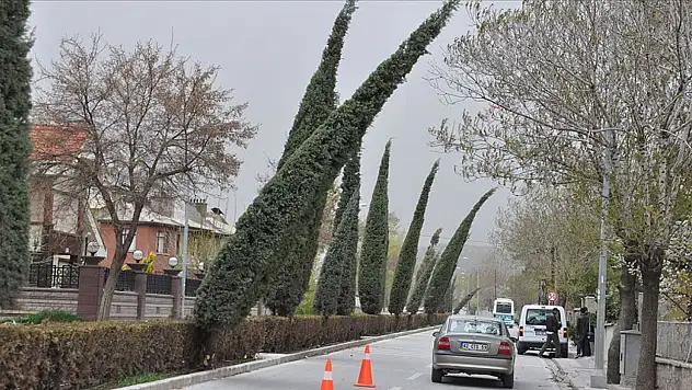 Konya'da yaz ortasında sonbahar serinliği! Rüzgar kuvvetini artıracak!