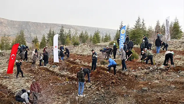 Konya'da yeşil seferberlik! 10 bin fidan toprakla buluştu!