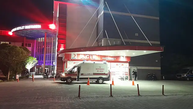 Konya'da yola çıkan köpek faciaya neden oldu! 4 kişi hastanelik oldu