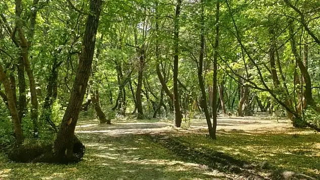 Konya dahil 11 ilde bazı alanlar orman sınırları dışına çıkarıldı