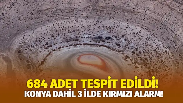 Konya dahil 3 ilde kırmızı alarm! 684 adet tespit edildi!