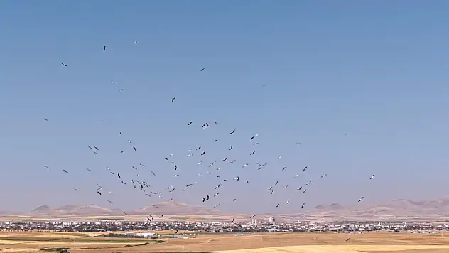 Konya'daki Düden Gölü'nde büyüleyen görüntü!