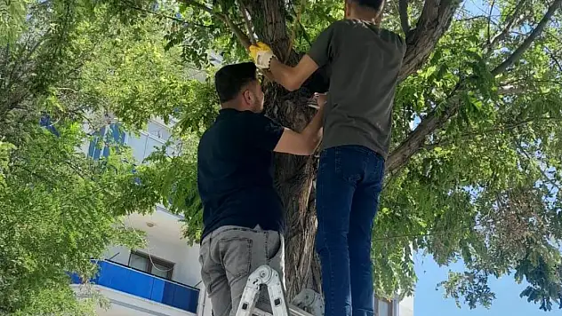 Konya Esnafı Pervane Oldu!