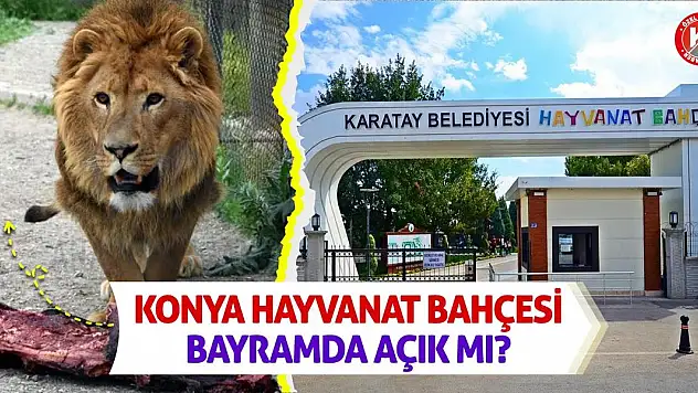 Konya Hayvanat Bahçesi Bayramda Açık Mı?