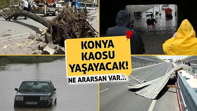 Konya Kaosu Yaşayacak! Ne Ararsan Var...