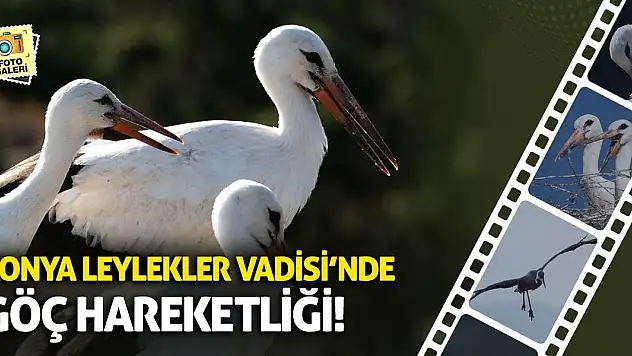 Konya Leylekler Vadisi'nde Göç Hareketliliği!