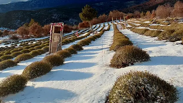 Konya'nın o ilçesine yağan kar çiftçiye umut oldu!