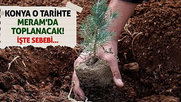 Konya O Tarihte Meram'da Toplanacak! İşte Sebebi...