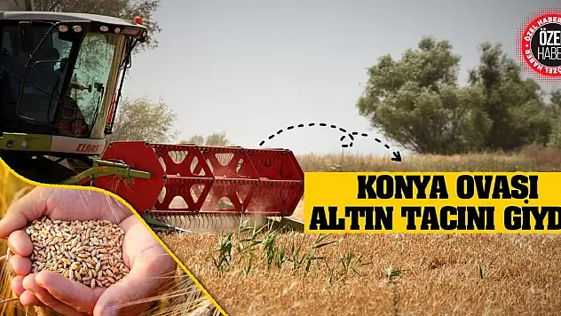 Konya Ovası Altın Tacını Giydi!