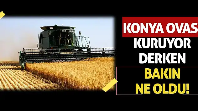 Konya Ovası Kuruyor Derken Bakın Ne Oldu!