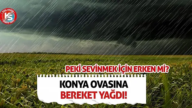 Konya Ovasına bereket yağdı! Peki sevinmek için erken mi?