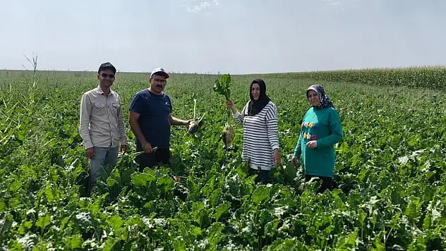 Konya Ovası'nda Bitki Gelişimi ve Sorunlar Masada!