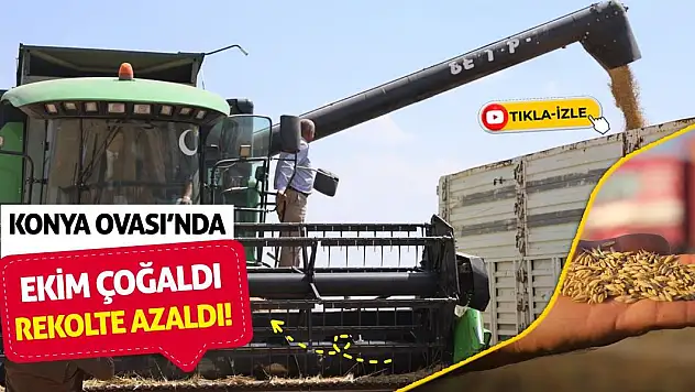 Konya Ovası'nda Ekim Çoğaldı Rekolte Azaldı!