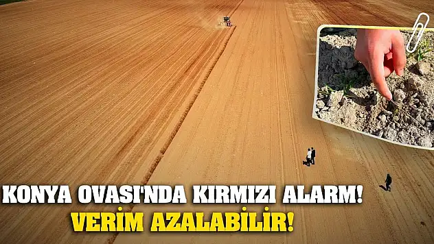 Konya Ovası'nda Kırmızı Alarm! Verim Azalabilir!