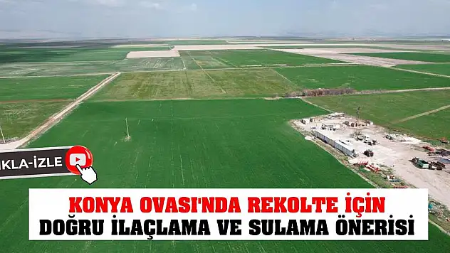Konya Ovası'nda Rekolte için doğru ilaçlama ve sulama önerisi