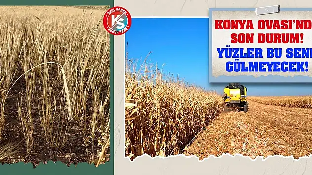 Konya Ovası'nda Son Durum! Yüzler Bu Sene Gülmeyecek!
