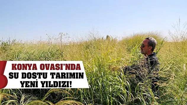 Konya Ovası'nda Su Dostu Tarımın Yeni Yıldızı!