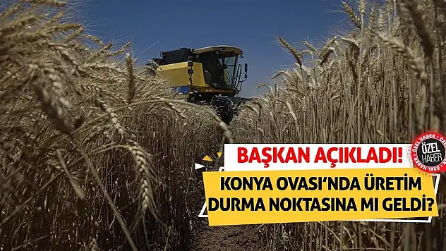 Konya Ovası'nda üretim durma noktasına mı geldi! Başkan açıkladı!