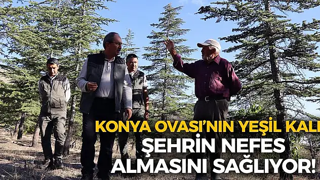 Konya Ovası'nın Yeşil Kalbi Şehrin Nefes Almasını Sağlıyor!
