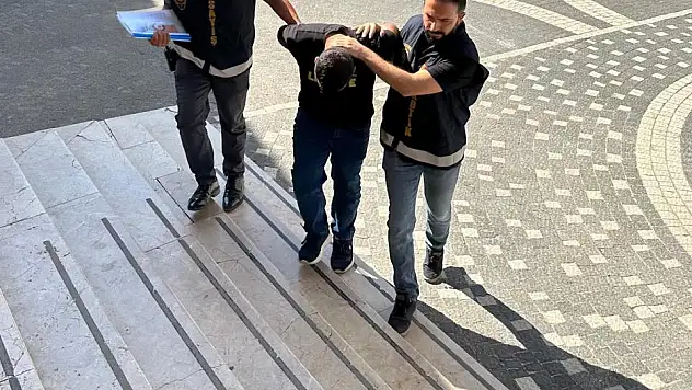 Konya polisi bonzai sevkiyatını durdurdu
