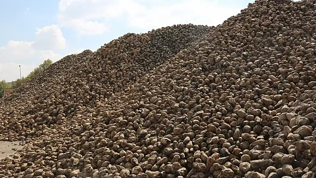 Konya Şeker'den ekonomiye dev katkı: 496 bin ton şeker üretildi!